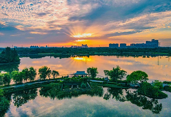 成都熊貓國(guó)際旅游度假區(qū)景觀 .jpg