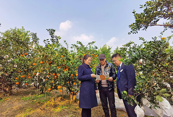 丹棱農(nóng)商銀行工作人員上門對接，現(xiàn)場為農(nóng)戶定制“橘橙貸”貸款服務(wù).png