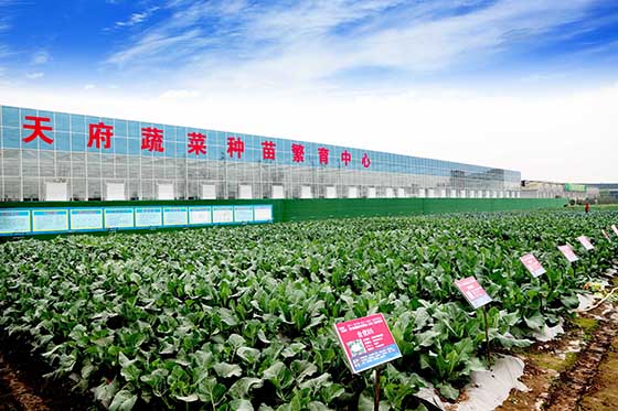 天府蔬菜種苗繁育中心.jpg