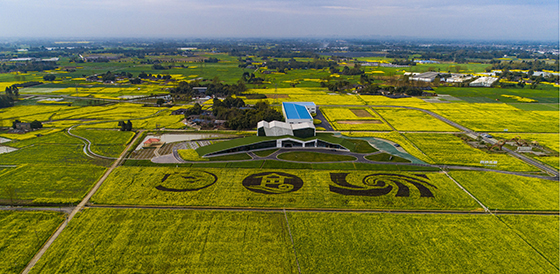 成都市大邑縣智慧田園林盤  .jpg