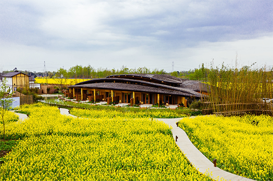 稻香漁歌美景  大邑縣發(fā)改局供圖.png