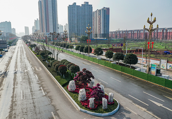 (1)四川省華鎣市提檔升級城市綠化景觀  邱海鷹 攝.JPG