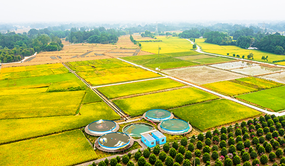 (2)郫都區(qū)袁隆平雜交水稻科學(xué)園推廣的稻漁立體生態(tài)循環(huán)種養(yǎng)模式.jpg