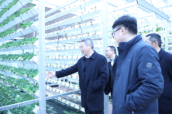(2)瀘州農(nóng)商銀行工作人員調(diào)研現(xiàn)代農(nóng)業(yè)園區(qū).JPG