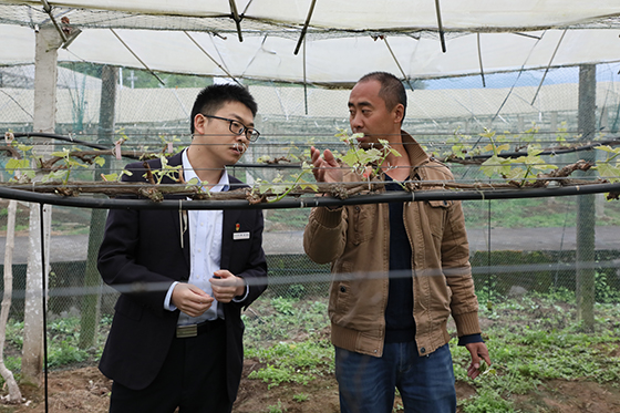 (2)銀行工作人員了解農(nóng)戶種植情況.jpg