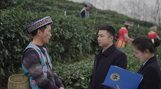 (2)興文農(nóng)商銀行員工走訪對接服務茶農(nóng).jpg