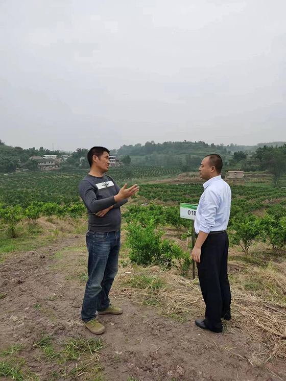 3內(nèi)江農(nóng)商銀行客戶經(jīng)理在田間地頭與農(nóng)戶交談.jpg