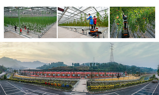 (4)通川現(xiàn)代農(nóng)業(yè)農(nóng)村蓬勃發(fā)展  唐朝祥 熊高六 攝.jpg