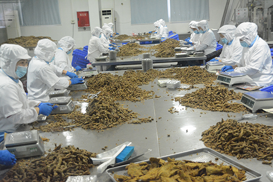 (2)達(dá)州市通川區(qū)高新技術(shù)產(chǎn)業(yè)示范園區(qū)內(nèi)，川漢子食品公司的工人正在加工牛肉食品  車文斌 攝.JPG