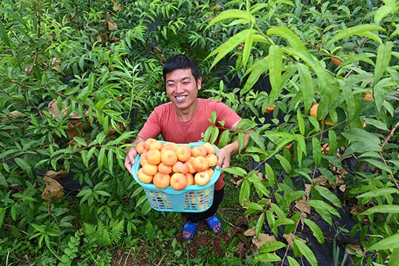 4)6月3日，在內(nèi)江市東興區(qū)石子鎮(zhèn)桂溪社區(qū)蟠桃基地，游客展示采摘成果.jpg