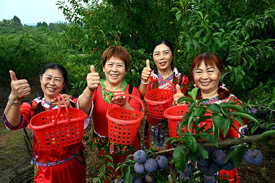 6游客高興地展示采摘成果.jpg
