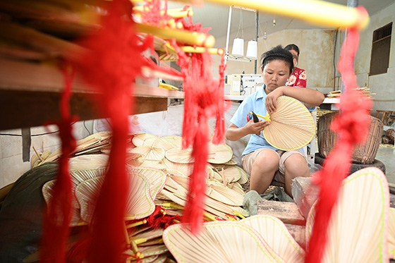 4四川省內(nèi)江市東興區(qū)楊家鎮(zhèn)金銀嘴村村民在加工制作蒲扇.jpg