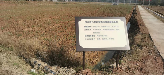 4內(nèi)江市飛龍米業(yè)優(yōu)質(zhì)糧油示范基地.jpg