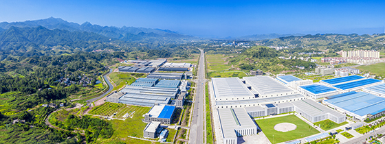 (1)川渝高竹新區(qū)鳥瞰圖  廣安市委宣傳部供圖.jpg