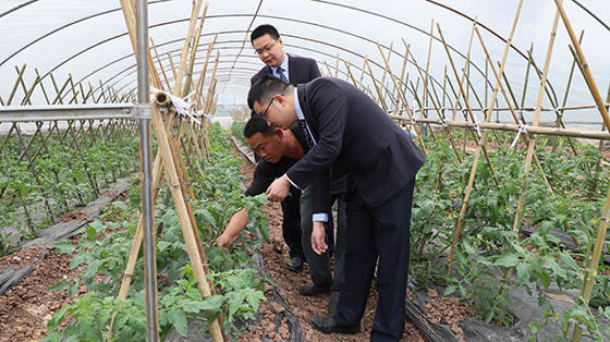 1657005299620329.jpg (3)銀行客戶經(jīng)理到農(nóng)戶蔬菜大棚了解情況.jpg