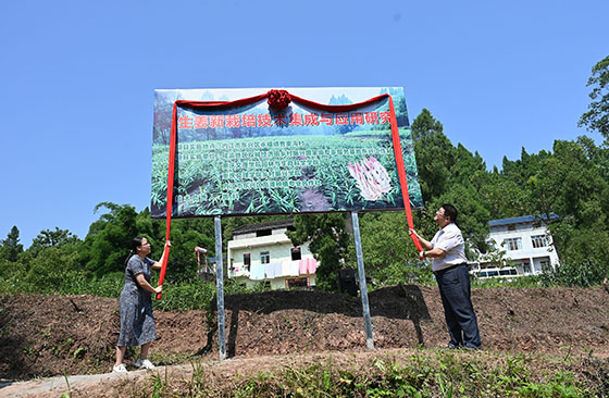 6校地雙方為“生姜新栽培技術集成與應用研究”項目揭幕.jpg