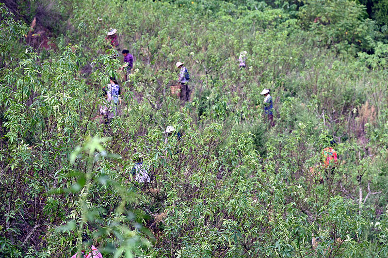 1當(dāng)?shù)卮迕癯弥绾锰鞖獠筛闱嗷ń?jpg