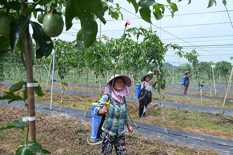 1658732341780038.jpg 1.jpg