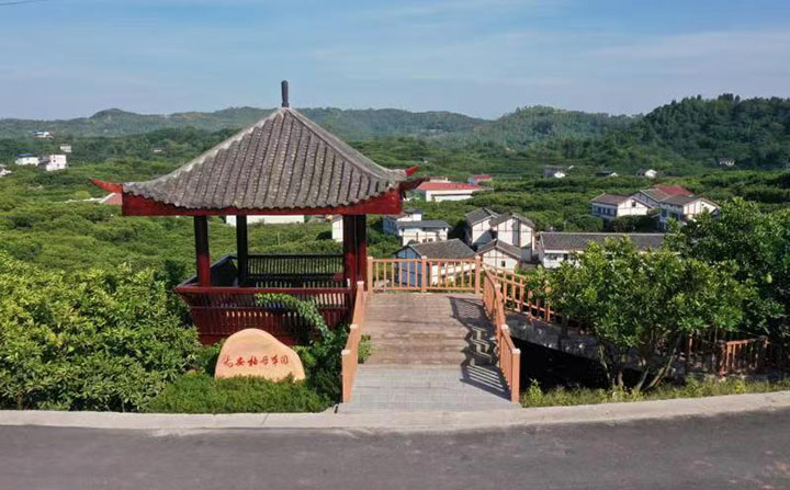 1660027917291244.jpg 66b91be1218e7a70dfa567d684c916b.jpg