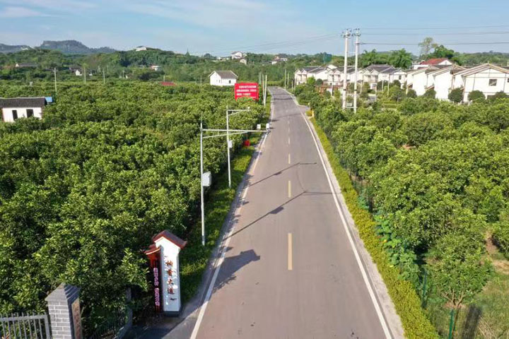 1660027922813906.jpg 197e6e15c1bbeb103742bcb62c42d31.jpg