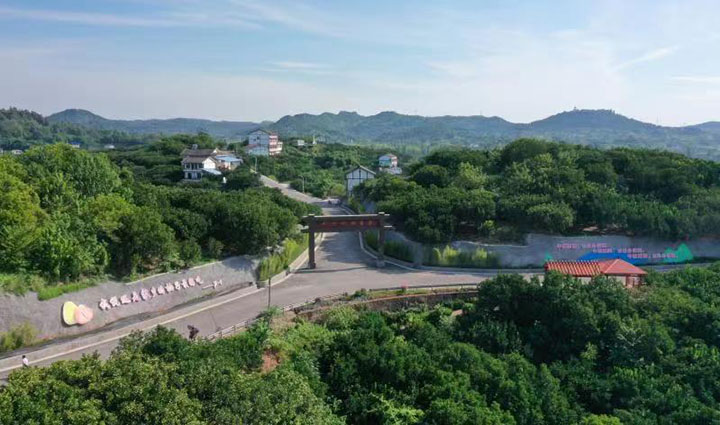 1660027926345264.jpg ab6944807cde9eb3c585a199defe91c.jpg