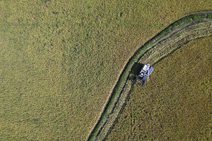 1660292759182156.jpg 1.jpg