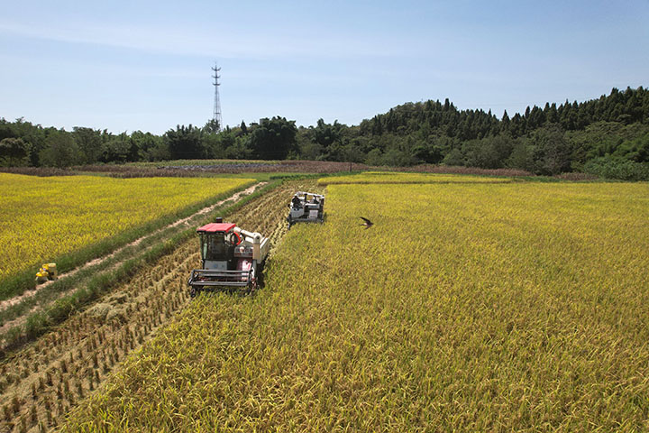 1660292771299797.jpg 2.jpg