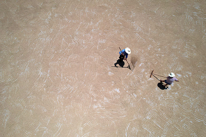 1660292785895750.jpg 4.jpg