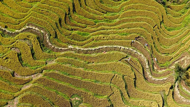 1660637840258801.jpg 1.jpg