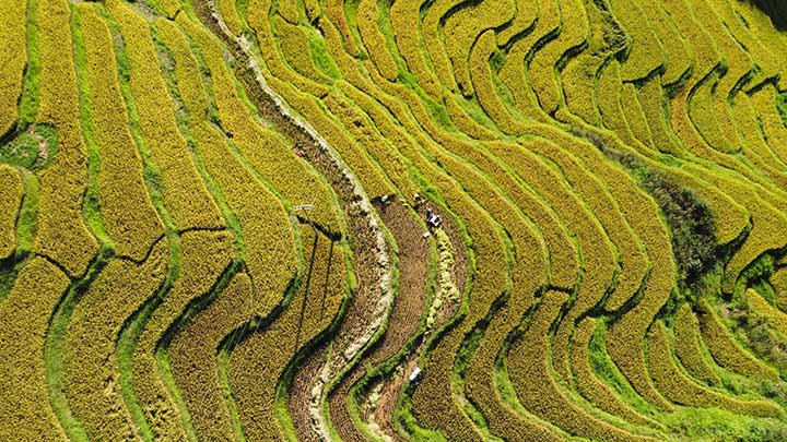 1660637844835578.jpg 2.jpg