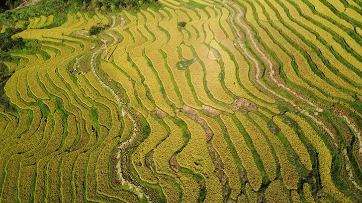 1660637851504543.jpg 3.jpg