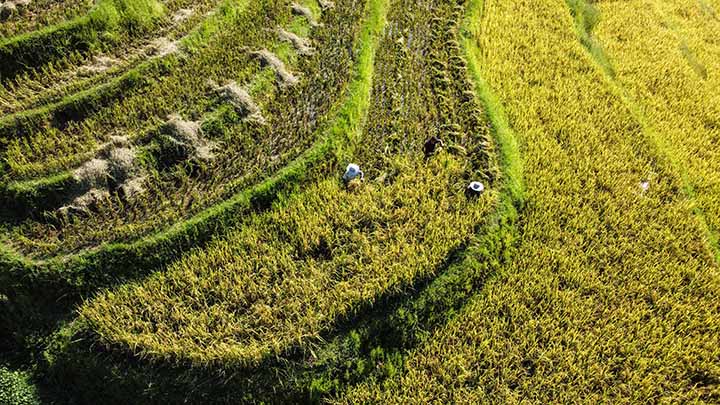 1660637854503296.jpg 4.jpg