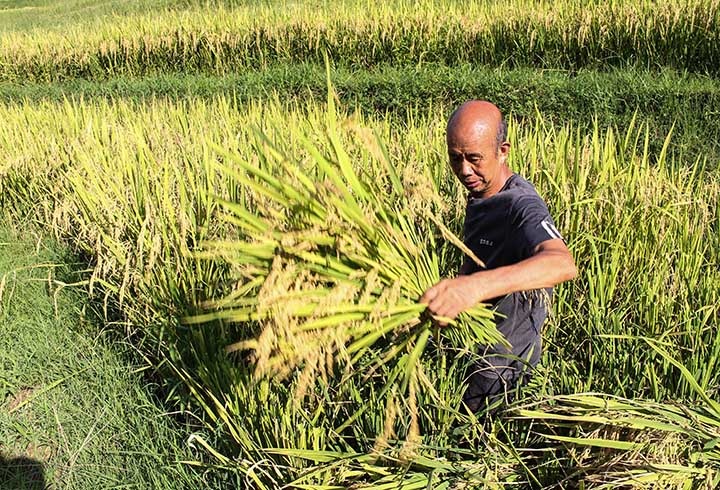 1660637858961839.jpg 5.jpg