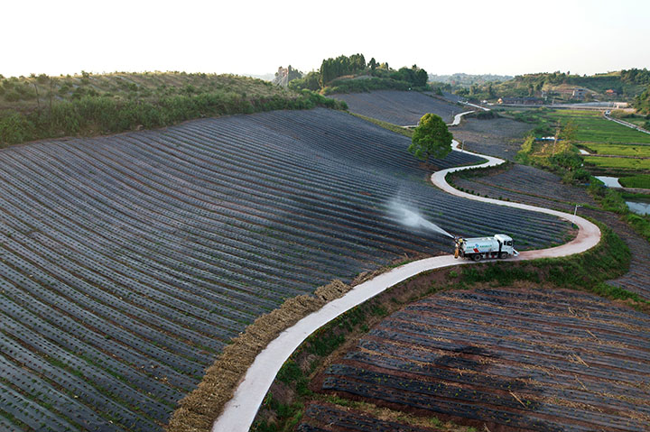 1660790602344130.jpg 1.jpg