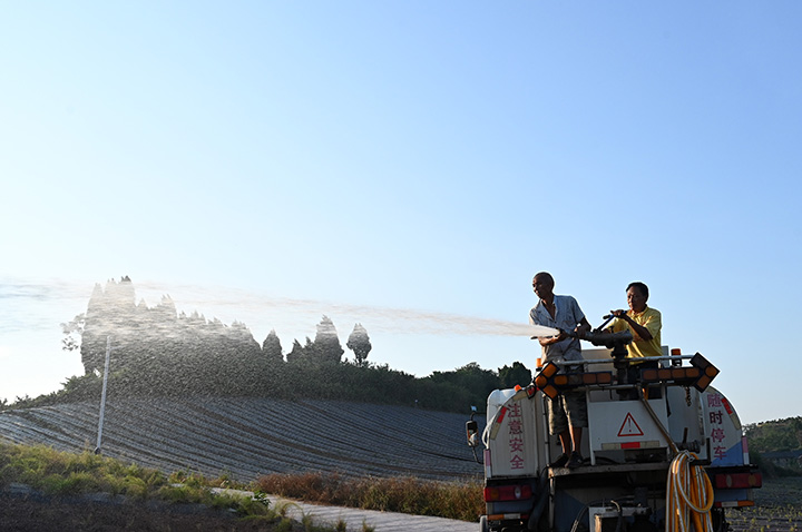 1660790611916600.jpg 3.jpg