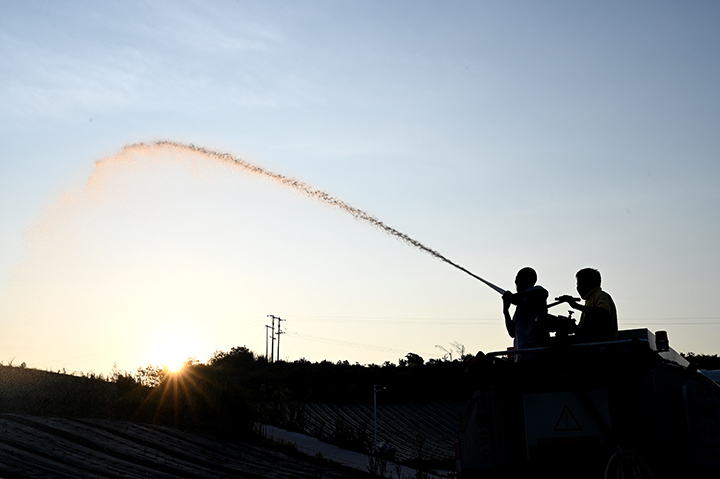 1660790614642738.jpg 4.jpg