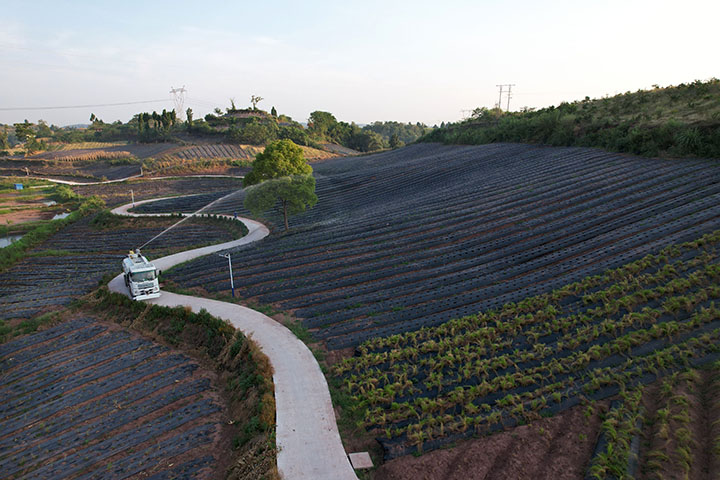 1660790625301962.jpg 6.jpg