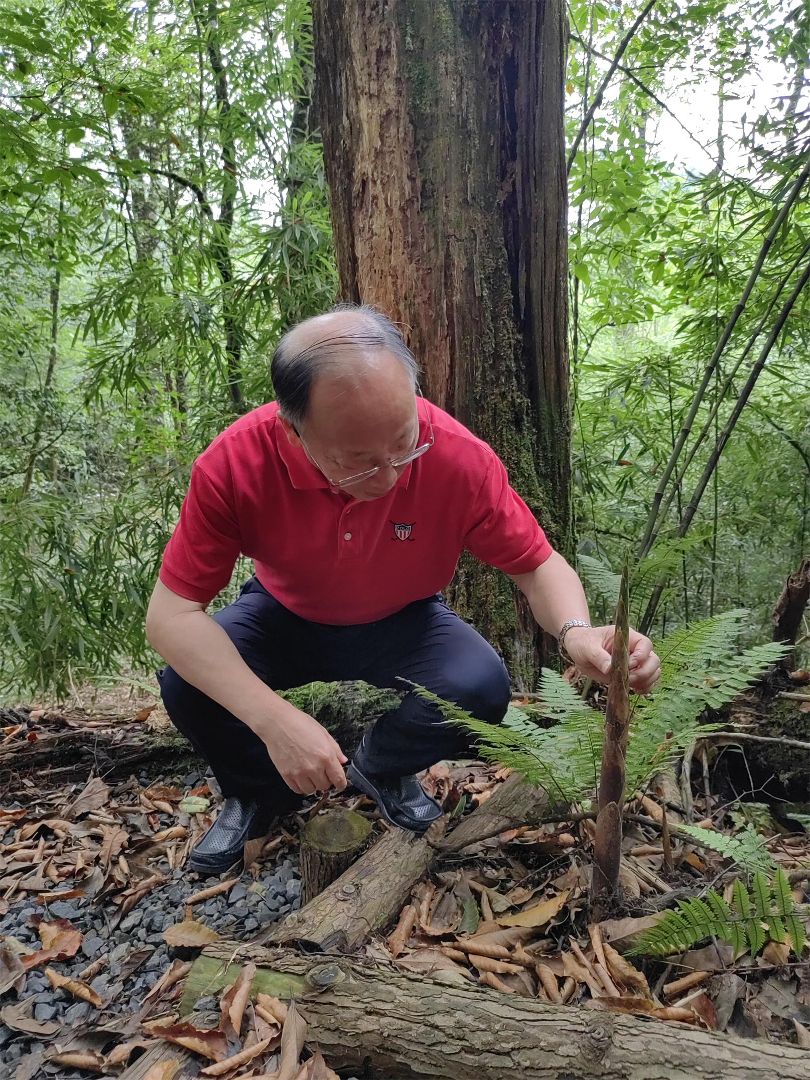 1661491060958178.jpg 14.jpg