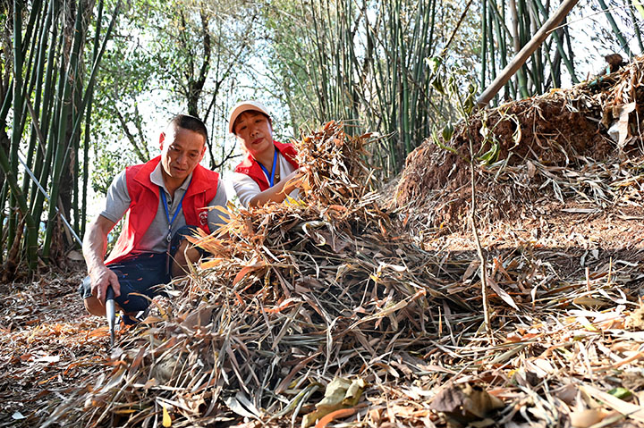 1661494755568162.jpg 4志愿者在林間巡查火災(zāi)風(fēng)險(xiǎn)點(diǎn).jpg