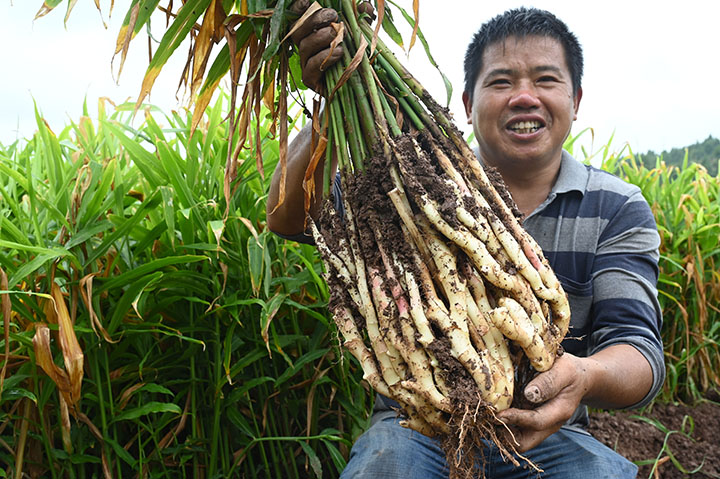 1662127621373870.jpg 2.jpg