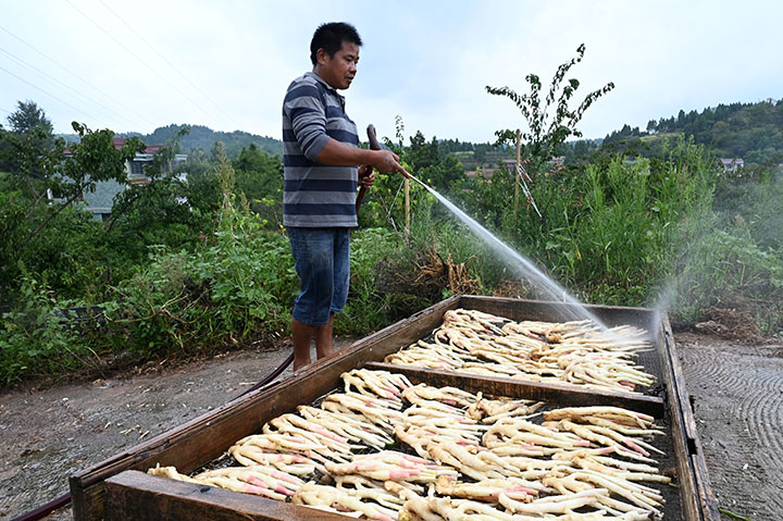 1662127621612512.jpg 4.jpg