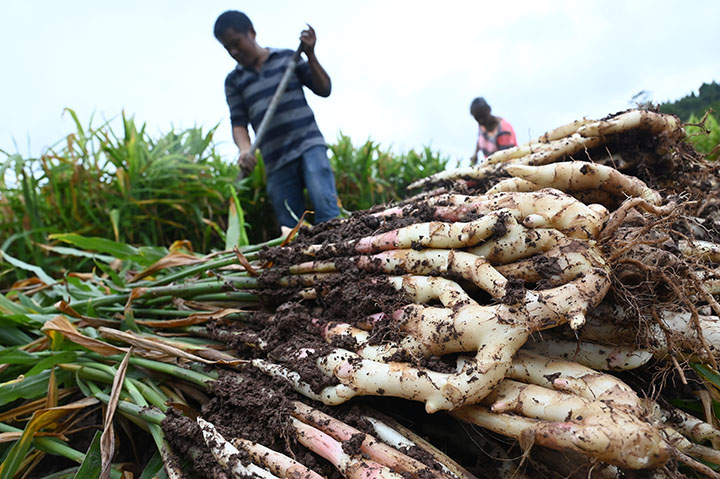 1662127621702469.jpg 1.jpg