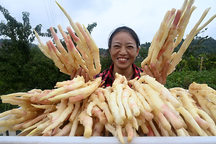 1662127621915654.jpg 5.jpg