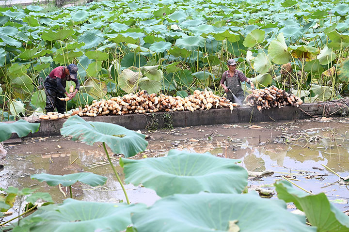 1662636794339649.jpg 2.jpg