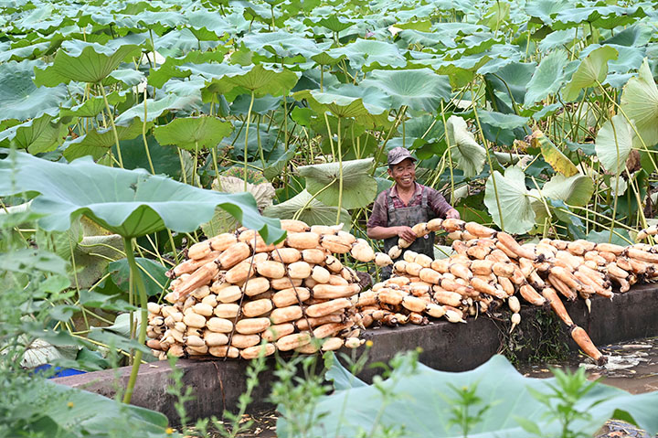 1662636794861538.jpg 4.jpg