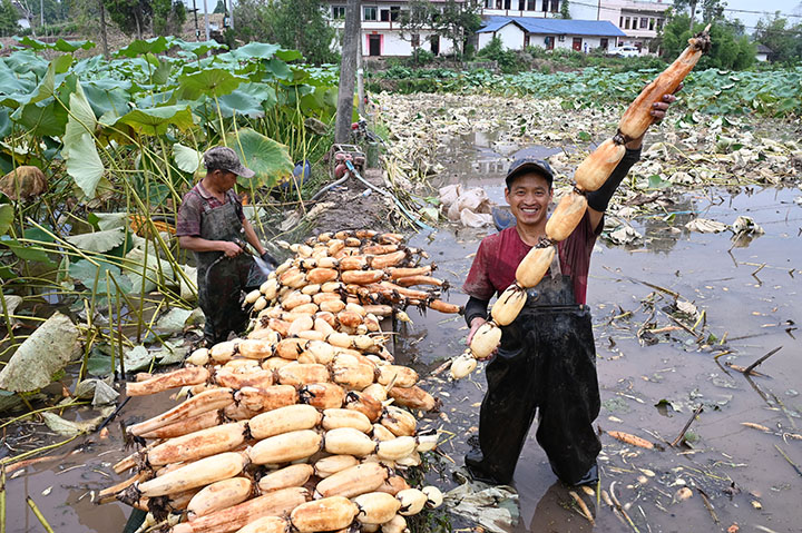 1662636795109547.jpg 3.jpg