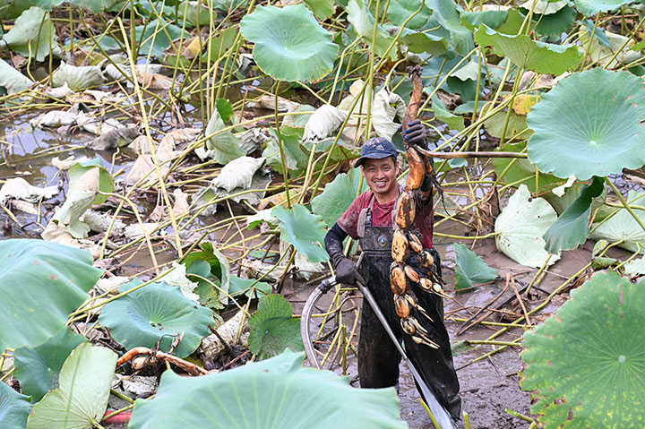 1662636795297034.jpg 1.jpg