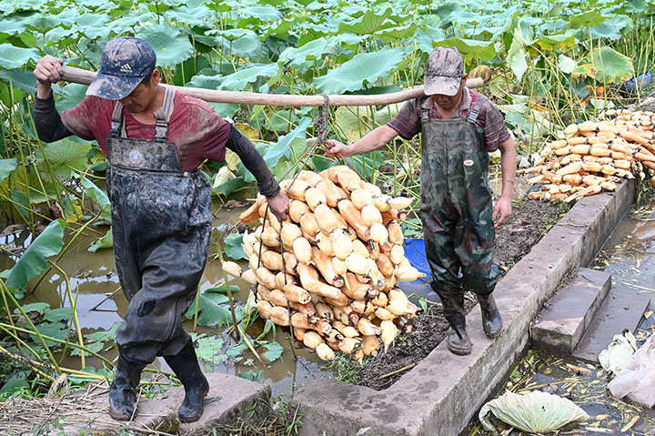 1662636795351110.jpg 5.jpg