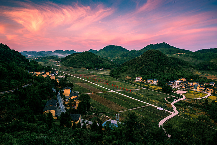 城北鎮(zhèn)金埡村貴人槽蔬菜基地  鄰水縣民政局供圖.jpg