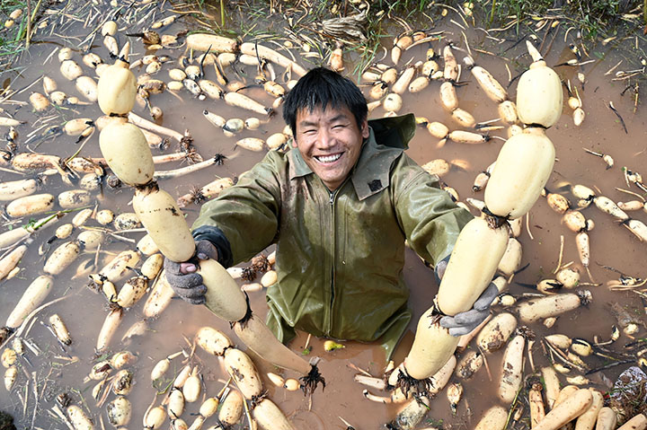 1665465536242043.jpg 4.jpg